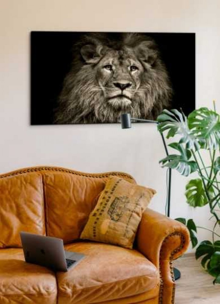 Salón de estilo minimalista.