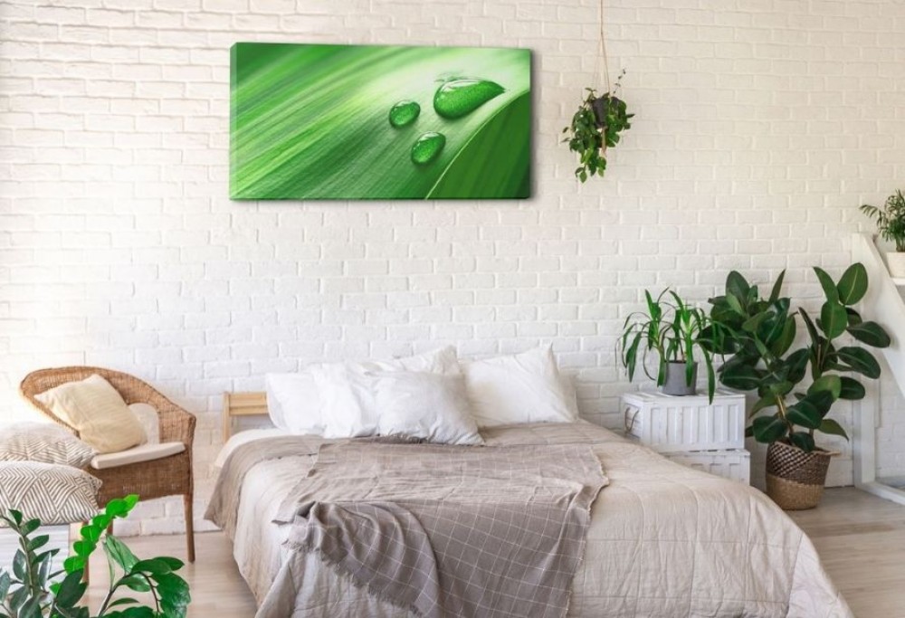 decoraciones de apartamentos alquilados